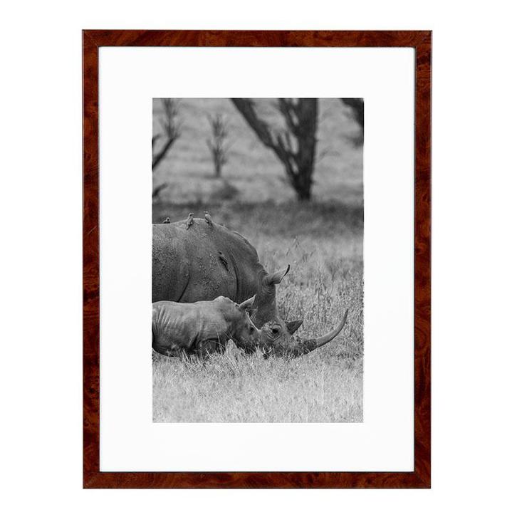 Wissellijst 40x50 cm Wortelnoten, Huis en Inrichting, Woonaccessoires | Lijsten, Ophalen of Verzenden