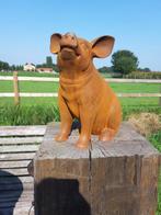 Figuur - large sculpture sitting pig ( - Smeedijzer