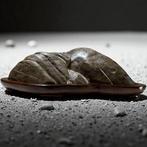 Japanse Suiseki kijksteen met Rosewood Daiza – natuurlijke