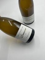 2023 Sancerre - Vincent Gaudry Mélodie de vieilles vignes, Verzamelen, Wijnen, Nieuw