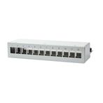 Keystone patch panel box voor 12 keystones, Ophalen of Verzenden, Nieuw