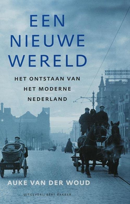 Een nieuwe wereld 9789035129832 Auke van der Woud, Boeken, Geschiedenis | Wereld, Gelezen, Verzenden