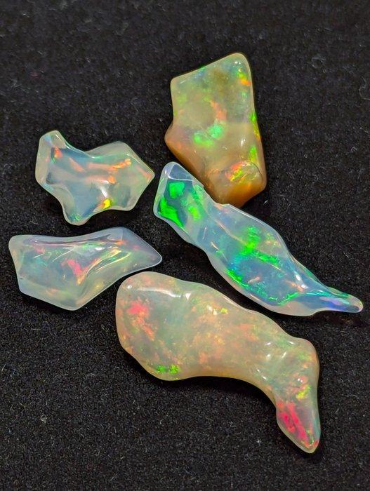 18,54 ct - AAA Natuurlijke Kostbare Welo Opalen, Geslepen, Verzamelen, Mineralen en Fossielen