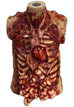 Horror torso (voorkant) Halloween prop, Hobby en Vrije tijd, Verzenden, Nieuw