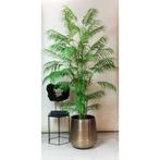 Kunstplant - Chamaedorea Elegans - Bergpalm - 180 cm, Verzenden, Nieuw
