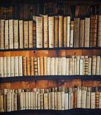 Stof Libreria Antica realistische Originele