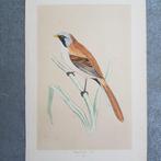 ds. F.O. Morris / Alexander Lydon - Lot with 22