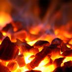 Houtskooloven-BBQ, GN 1/1 + GN2/4 (75 Kg/h)/Roestvrij staal, Zakelijke goederen, Horeca | Keukenapparatuur, Verzenden, Nieuw in verpakking