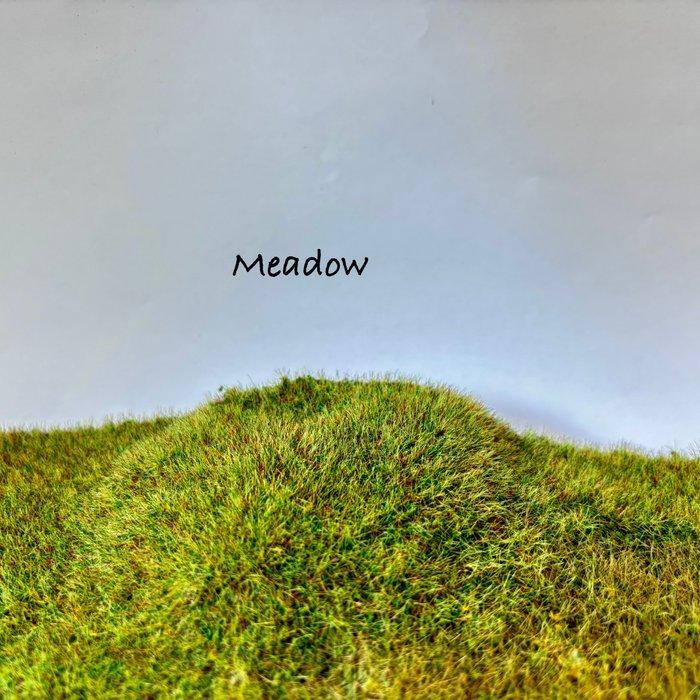 Grote partij 2,45 liter statisch gras voor, Hobby en Vrije tijd, Modeltreinen | H0