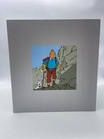 Tintinimaginatio - Tintin - Statuette Moulinsart 47000 -, Boeken, Nieuw