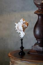 Ingewikkelde Murex-tak op een aangepaste standaard -, Antiek en Kunst