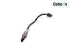 Lambda Sonde Yamaha XSR 125 2021- (RE441 BFG), Verzenden, Gebruikt