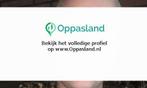 Ik ben Jan, 22 jaar oud en ik zoek oppaswerk in Rhenen., Nieuw