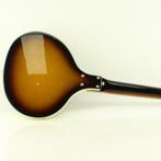 Danelectro Baby Sitar, Ophalen of Verzenden, Nieuw