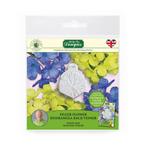 Katy Sue Mold Veiner Hydrangea Back**, Hobby en Vrije tijd, Verzenden, Nieuw