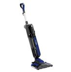 EZIclean Cyclosteam P310 Multifunctionele stoomreiniger, Doe-het-zelf en Verbouw, Ophalen of Verzenden, Zo goed als nieuw