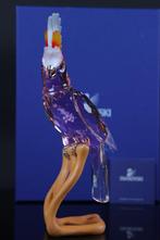 Figuur - Swarovski - Paradise Vogel Kaketoe (Boxed +