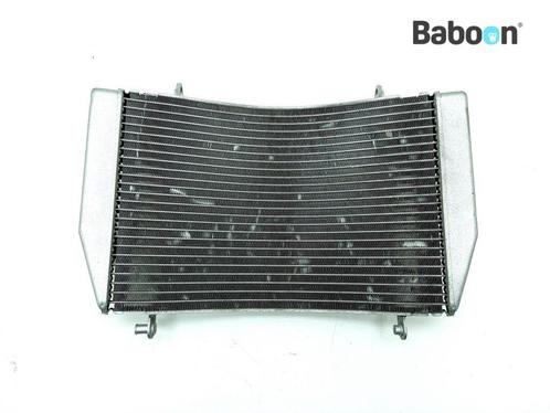 Radiateur MV Agusta F4 1000 R 2010-2012, Motoren, Onderdelen | Overige, Gebruikt, Verzenden