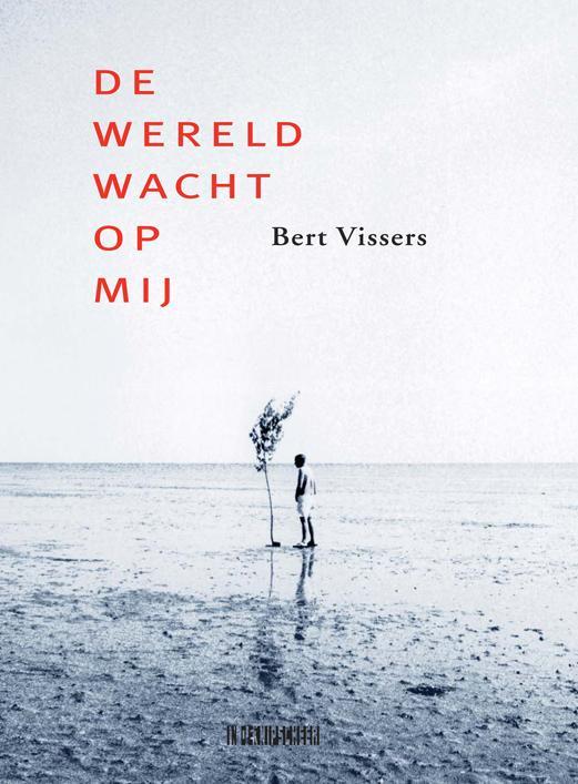 De wereld wacht op mij 9789062657773 Bert Vissers, Boeken, Literatuur, Gelezen, Verzenden