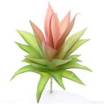 19cm. ARTIFICIAL SUCCULENT GREEN/RED Succulent, Ophalen of Verzenden, Nieuw
