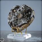 Natuurlijkse Septarien Herz Draak Ei met calciet