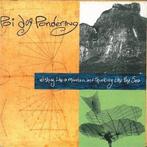 cd - POI DOG PONDERING - Wishing Like A Mountain, Verzenden, Zo goed als nieuw