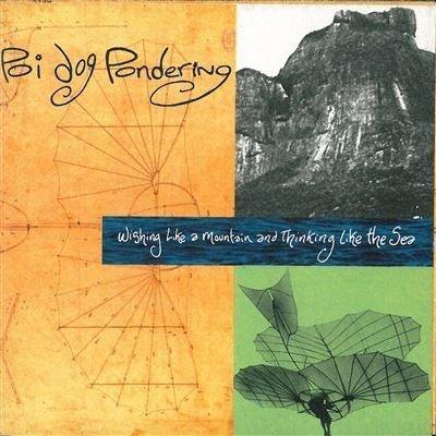 cd - POI DOG PONDERING - Wishing Like A Mountain, Cd's en Dvd's, Cd's | Overige Cd's, Zo goed als nieuw, Verzenden