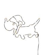 HEMA Led takkie 2+1 gratis, Verzenden, Nieuw