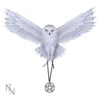 Nemesis Now - Awaken your Magic (AS) 45cm, Verzenden, Nieuw