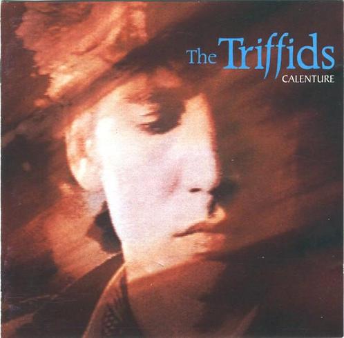 cd - The Triffids - Calenture, Cd's en Dvd's, Cd's | Overige Cd's, Zo goed als nieuw, Verzenden