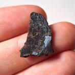 NWA 7853 Pallasite meteoriet. Snede - 1.3 g, Verzamelen, Mineralen en Fossielen