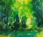 Denis Ferté - La mare aux Fées au printemps.