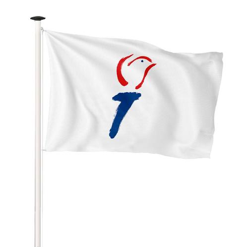 NR 549: Vlag vrijheid fakkel 150x225cm (voor masten 6 of 7, Diversen, Vlaggen en Wimpels, Nieuw