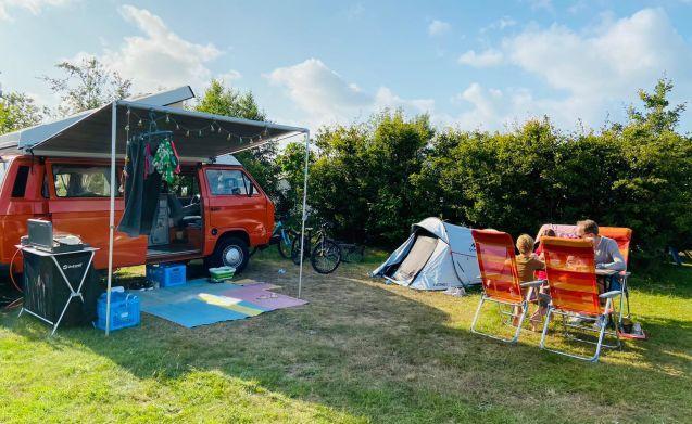4 pers. Westfalia camper huren in Harmelen? Vanaf € 75 p.d., Caravans en Kamperen, Verhuur