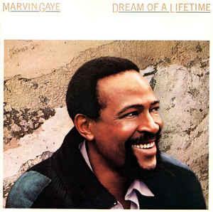 cd - Marvin Gaye - Dream Of A Lifetime, Cd's en Dvd's, Cd's | Overige Cd's, Zo goed als nieuw, Verzenden