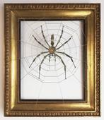 Peter Szucsy - Clockwork Spider No.94 King Eldon