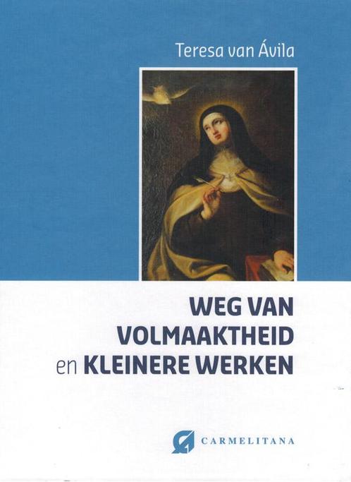 Weg van volmaaktheid ; Kleinere werken 9789076671918, Boeken, Godsdienst en Theologie, Gelezen, Verzenden