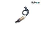 Lambda Sonde Gilera Fuoco 500 2007-2012, Verzenden, Gebruikt