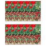 Aardbeienzaad | VT | 10 stuks (Bosaardbei), Verzenden