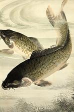 Carps - With signature and seal  Kinsai - Japan (Zonder, Antiek en Kunst