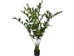 Mica Decorations Vissenstaart Palm Kunstplant in Pot - H150, Verzenden, Nieuw