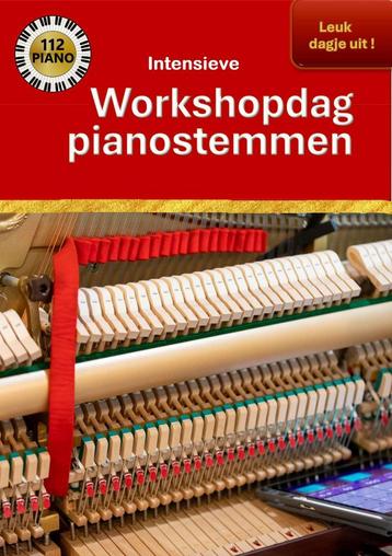 Piano | Op zoek naar een pianostemmer of zelf pianostemmen?! beschikbaar voor biedingen