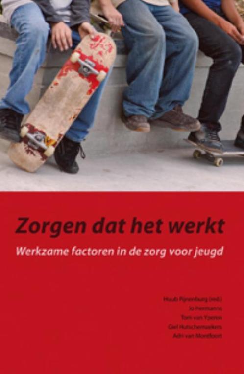 Zorgen dat het werkt 9789088501319 Huub Pijnenburg, Boeken, Politiek en Maatschappij, Gelezen, Verzenden