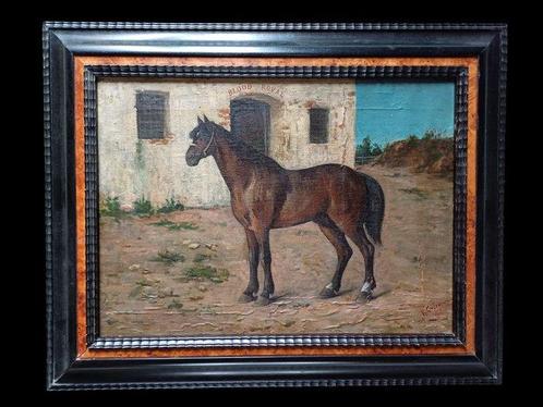 Enrico Coleman (1846–1911) - Cavallo, Antiek en Kunst, Kunst | Schilderijen | Klassiek