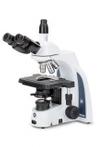 Euromex microscopen aanbiedingen nieuw en tweedehands