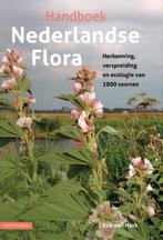 Handboek Nederlandse Flora | 9789050119818 | Van Herk, Kok, Boeken, Ophalen of Verzenden, Nieuw, Van Herk, Kok