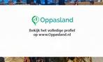 Roland zoekt een oppas in Leiden voor 2 kinderen op vrijd...