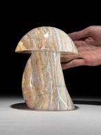 Geen minimumbedrag - Handgesneden kantagate steen paddestoel