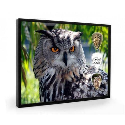 Uil plectrumdisplay, Verzamelen, Dierenverzamelingen, Overige typen, Nieuw, Vogel, Ophalen of Verzenden