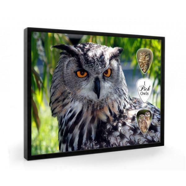 Uil plectrumdisplay, Verzamelen, Dierenverzamelingen, Overige typen, Nieuw, Vogel, Ophalen of Verzenden